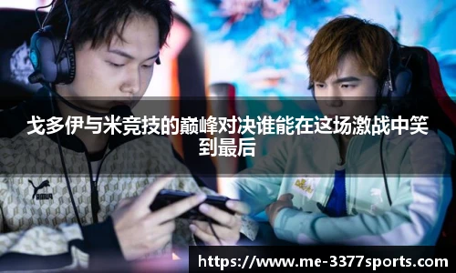 3377体育官网