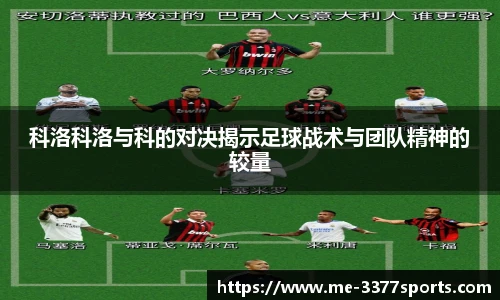 3377体育